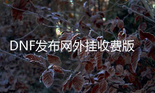 DNF发布网外挂收费版