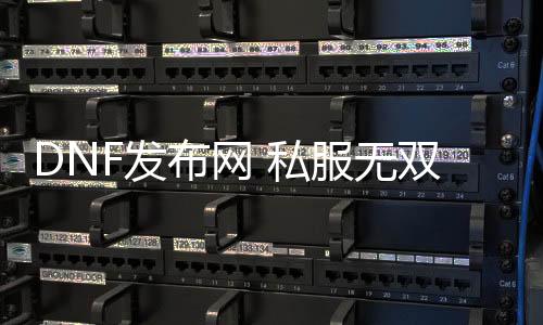 DNF发布网 私服无双（DNF发布网无双至尊是什么）