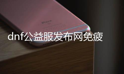 dnf公益服发布网免疲劳辅助（dnf公益服发布网最新版辅助）