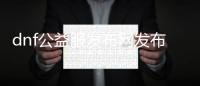 dnf公益服发布网发布网站110版本有哪些，最新110版本dnf公益服发布网发布网站推荐