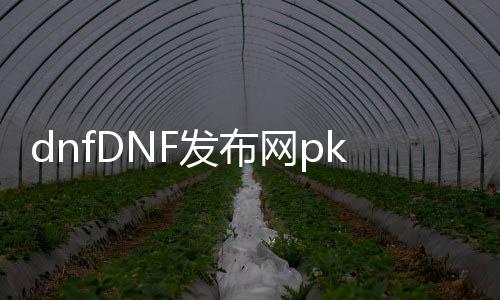 dnfDNF发布网pk视频（dnf pk服）